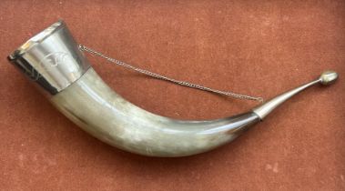 Wall hanging cow horn