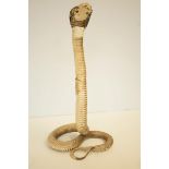 Taxidermy cobra