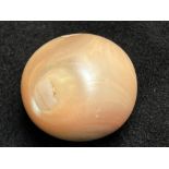 Rare large conch pearl from Triton shell Okinawa 1