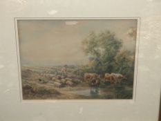 Framed watercolour cattle scene, monogram TB
