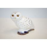 Royal crown derby snowy owl an exclusive for the R