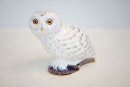 Royal crown derby snowy owl an exclusive for the R