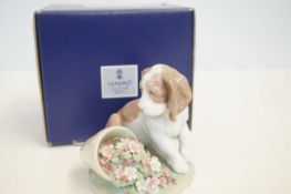 Lladro collectors society 77672 'It wasn't me' wit