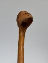 Head walking stick