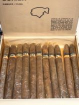 Cohiba cuban cigars - 11