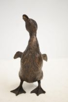 Bronze duck