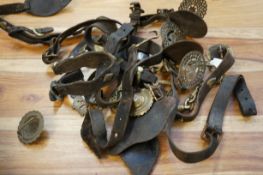 Collection of horse brasses