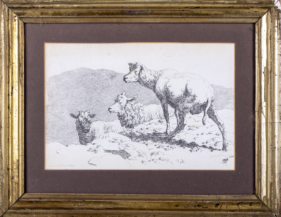 Two gilt framed engravings depicting sheep - Image 3 of 3