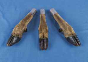 Three silver mounted trophy deer feet, inscription on each Shot by S Denton 10.10.95. At three