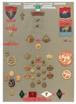 42 Egypt military and police badges etc. Board with good display of metal and cloth badges,
