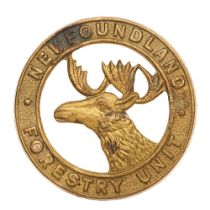 Newfoundland Forestry Unit WW2 cap badge. Good rare die-stamped brass Caribou head in voided circlet