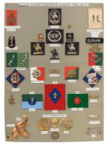 34 Sudan Defence Force badges etc. Board with good display of metal and cloth badges including HM