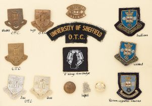 University of Sheffield OTC and UTC 14 items of insignia. Good assortment of badges, buttons, arm