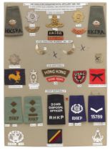 27 Hong Kong military and police badges etc. Board with good display of metal and cloth badges. Most