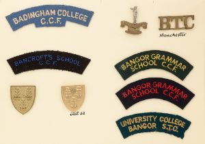 Badingham College, Bancroft's, Bangor and Bank Top Cadet, OTC and CCF 9 items of insignia. Good