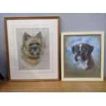 Marjorie Cox - a study of a terrier, pastel signed, and Menzies - a study of bulldog, pastel