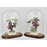 A pair of Royal Worcester models of Ruby-throated hummingbirds on fuchsias by James Alder, one