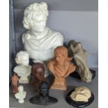A group of composition and other busts to include Apollo, King George V, Queen Elizabeth II, Winston