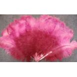 An early 20th Century ostrich feather fan dyed in 2 shades of pink having 11 pearlised pink wands