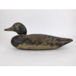 A late 19th century hand painted pine decoy duck with a black body and white underside, 38cm long,