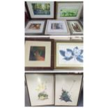 A group of framed and glazed prints and watercolours to include 'Ellery CK. Big Hole' Diana Amos and