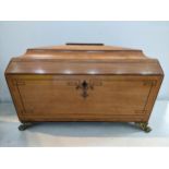 A 19th century satin wood tea caddy of sarcophagus form having brass ring handles and lion paw feet,