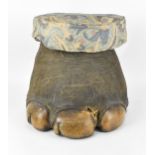 A taxidermy elephant foot stool, circa 1900, with horse hair stuffed seat 36 cm high x 34 cm wide