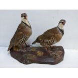 Two taxidermy partridges stood on a rocky base 30.5cm h x 41.5cm w Location: