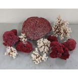 Natural white and red coral specimens to include a large red coral, 6 smaller red coral, together