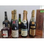 Nine bottles of mixed spirits and Champagne to include cognac and Moet Chandon