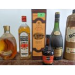 Whisky to include Bushmills 75cl and Glenmorangie 10 year old, Dimple, Remy Martin, Bols Geniever