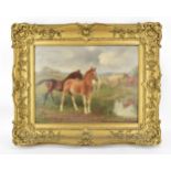 George Thomas Rope (1845-1929) British depicting horses in a field, signed lower left, oil on