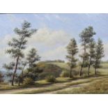 S G Anderson - oil on board depicting Sutton Bank, Yorkshire, 34 x 24, framed