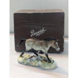 A Beswick model of Przewalski's Wild Horse, dated 1005, limited edition no 684/1000, together with