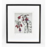 Richard Spare (b.1951) British "Fuchsia Frond", colour etching, limited edition 50/150, signed and