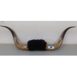 A pair of Bison style horns Location: RAB