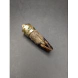 A taxidermy paw with a yellow metal mounted rim, total weight 8.9g