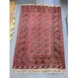 A Bokhara hand woven red ground rug having repeating gull motifs, multiguard borders and tasselled