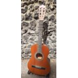 An Encore ENC36N accoustic 6 string guitar with stand.