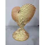 A Royal Worcester blush ivory porcelain spoon warmer in the form of a nautilus shell Location: 11.2