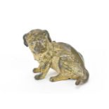 An Austrian cold painted bronze model of a seated pug dog, in the manner of Franz Bergmann, the