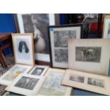 A quantity of mixed pictures and vintage photographs of dogs to include antiquarian prints, a
