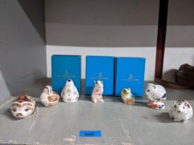 A group of Royal Crown Derby animal paperweights, some in boxes to include Derby Dormouse, Bank
