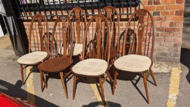 A set of six mid 20th century Ercol swan dining chars Location: