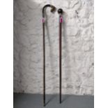 Two walking sticks one with an added carved wooden dog head handle and the others, a bowling ball