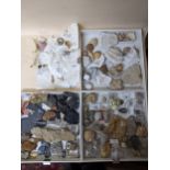 A collection of fossils, sea shells, stones and medieval and later pottery shards, to include