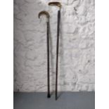 Two horn handled walking sticks each with silver Ferrules Location: