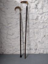 Two horn handled walking sticks each with silver Ferrules Location: