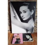 Audrey Hepburn Interest-A large unframed canvas and 2 books; Audrey Hepburn Icons of Our Time' by