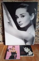 Audrey Hepburn Interest-A large unframed canvas and 2 books; Audrey Hepburn Icons of Our Time' by